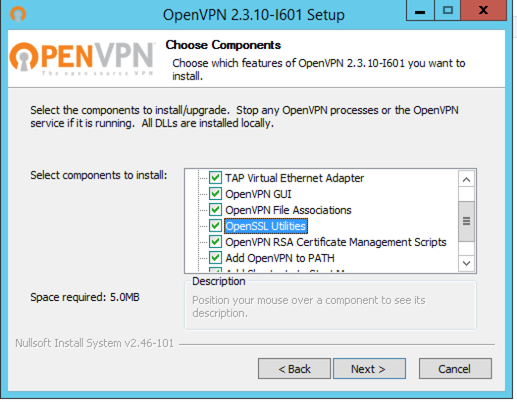 openvpn server windows