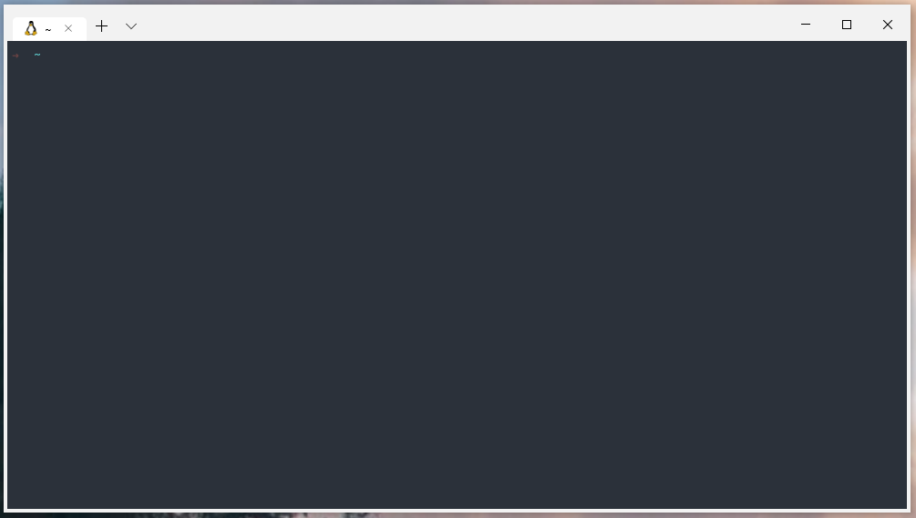 Zsh windows